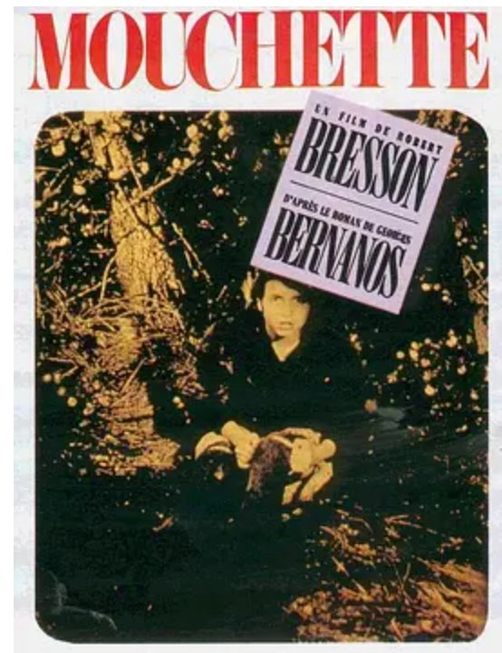 盘点法国少女电影，【免费高清】在线观看百度网盘资源