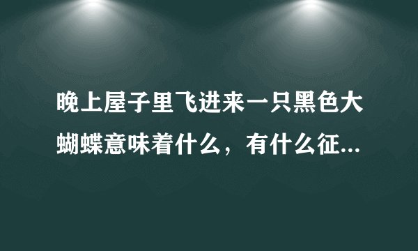 晚上屋子里飞进来一只黑色大蝴蝶意味着什么，有什么征兆，如果我把把它打死了，会有什么不好之处？