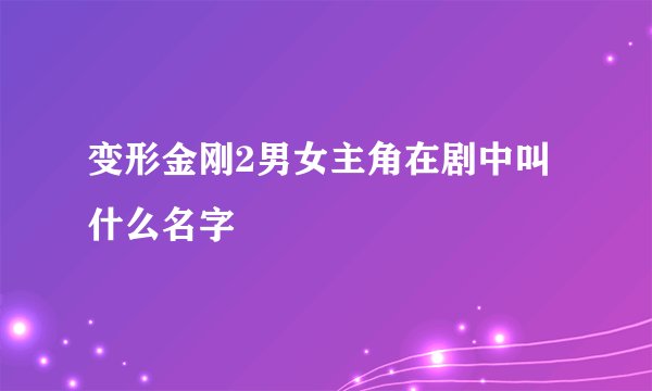 变形金刚2男女主角在剧中叫什么名字