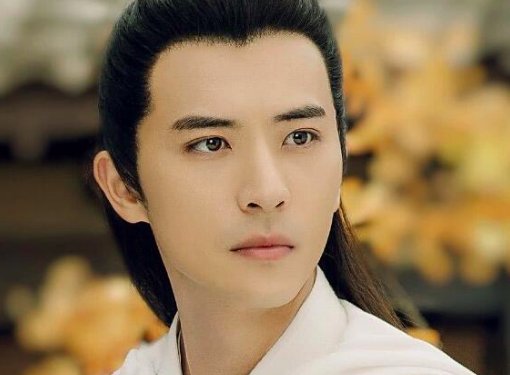 斛珠夫人帝旭喜欢方海市吗