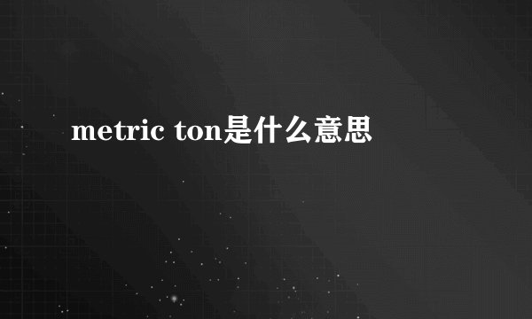 metric ton是什么意思