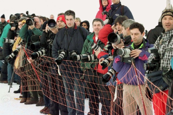 狗仔是什么意思?