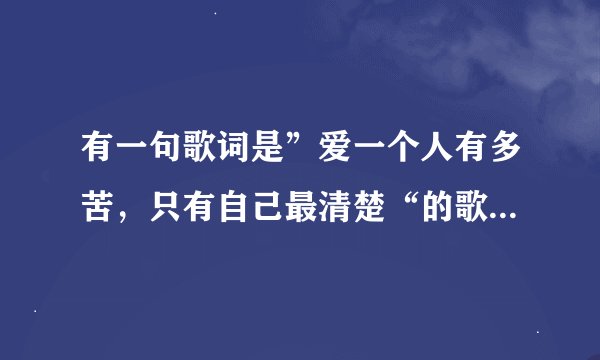 有一句歌词是”爱一个人有多苦，只有自己最清楚“的歌叫什么没名来的？