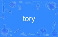 tory怎么读