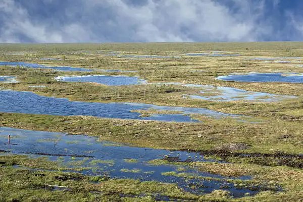 水泽是什么意思