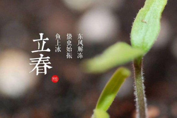 立春要吃“五辛盘”,“五辛盘”是什么菜?