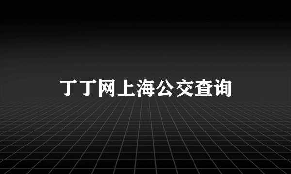 丁丁网上海公交查询
