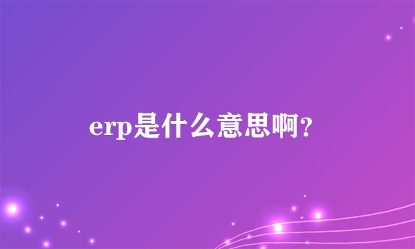 erp是什么意思啊？