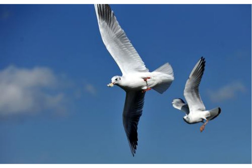 无话不说什么意思