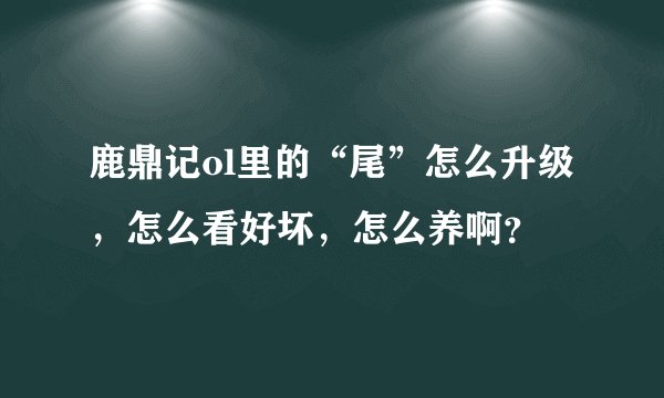 鹿鼎记ol里的“尾”怎么升级，怎么看好坏，怎么养啊？