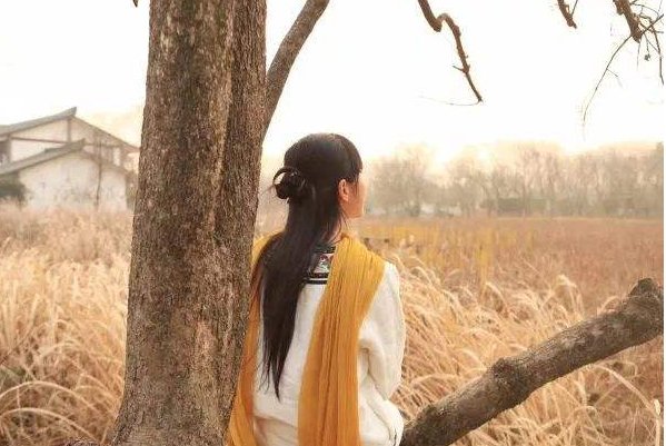 心向往之什么意思?