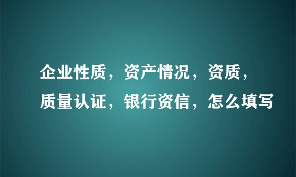 企业性质，资产情况，资质，质量认证，银行资信，怎么填写