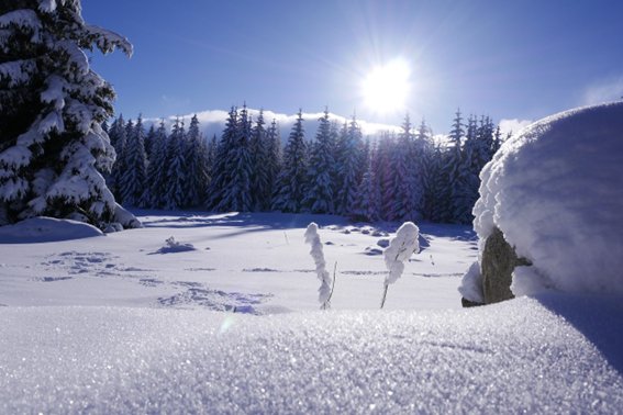 三九天下雨有什么说法么