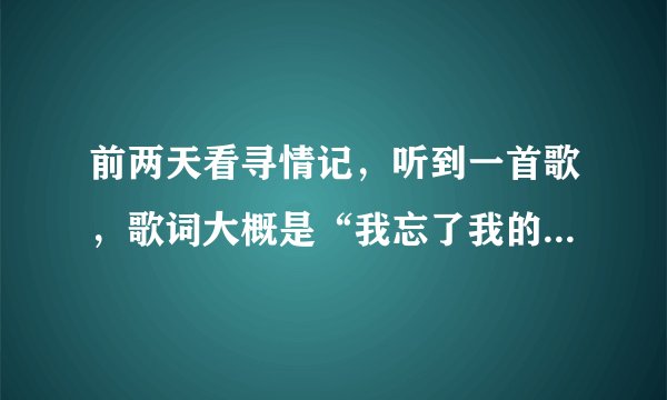 前两天看寻情记，听到一首歌，歌词大概是“我忘了我的夜晚，恋上你的天亮，成了习惯”，这是什么歌呀？？