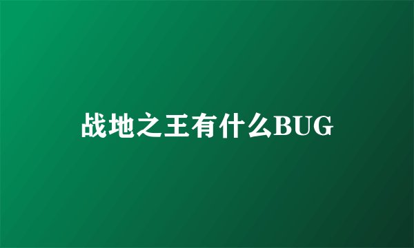 战地之王有什么BUG
