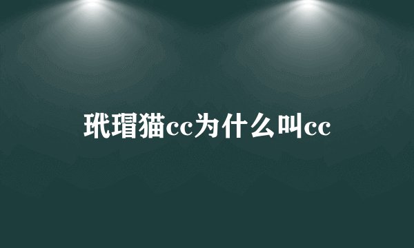 玳瑁猫cc为什么叫cc