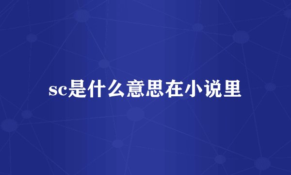 sc是什么意思在小说里