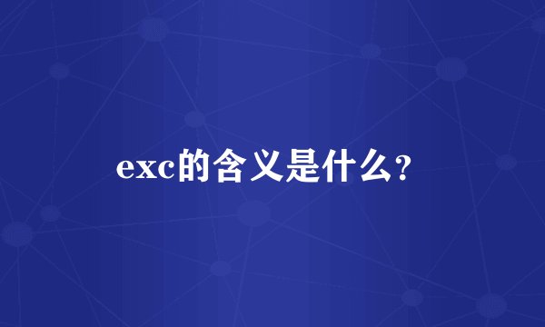 exc的含义是什么？