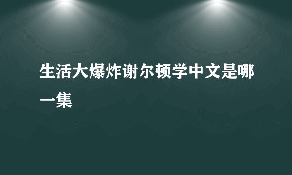 生活大爆炸谢尔顿学中文是哪一集