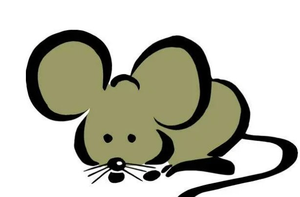 一事无成的生肖