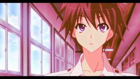 酒井阳菜的介绍