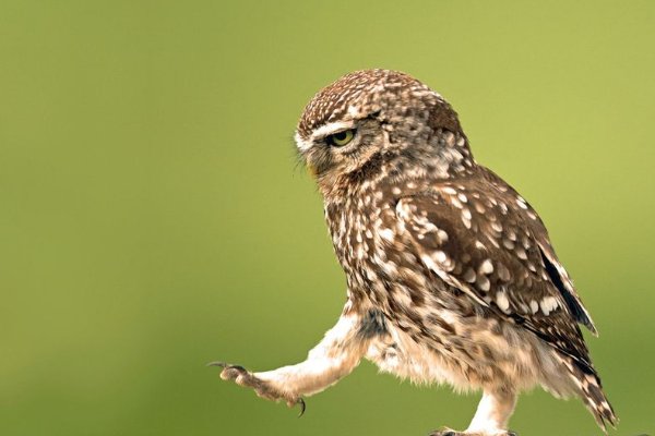 惊讶的近义词是什么