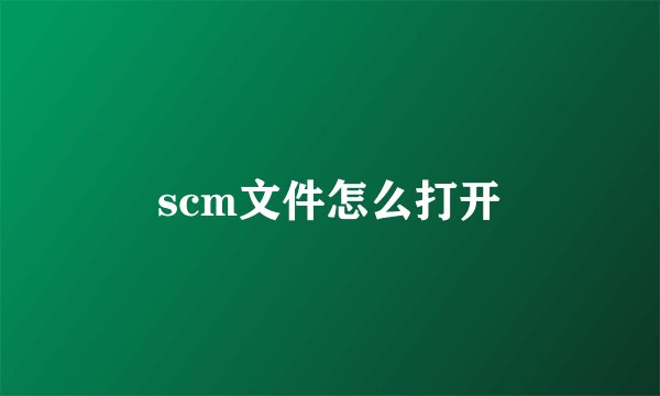 scm文件怎么打开