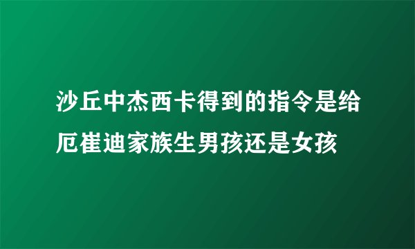 沙丘中杰西卡得到的指令是给厄崔迪家族生男孩还是女孩