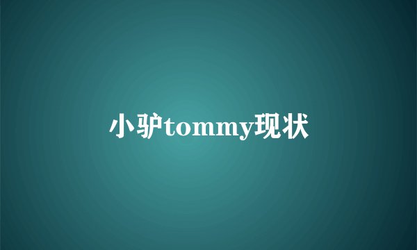 小驴tommy现状