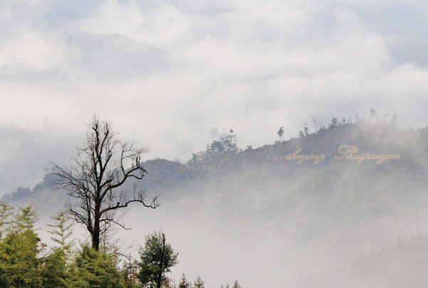 五里云雾正确生肖是什么