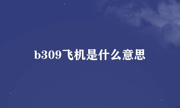 b309飞机是什么意思