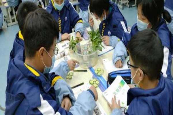 无机盐在生物体内的作用