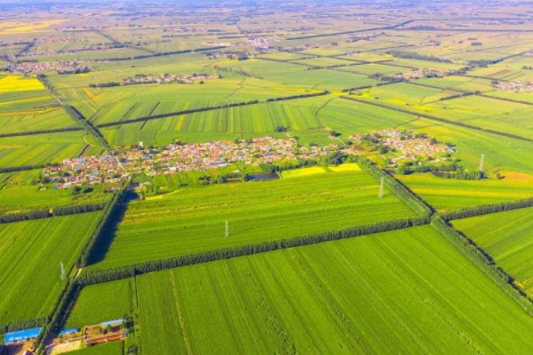 中国三大粮仓在哪？