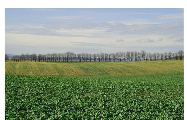 1英亩等于多少亩？