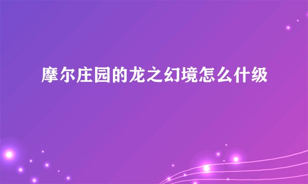 摩尔庄园的龙之幻境怎么什级