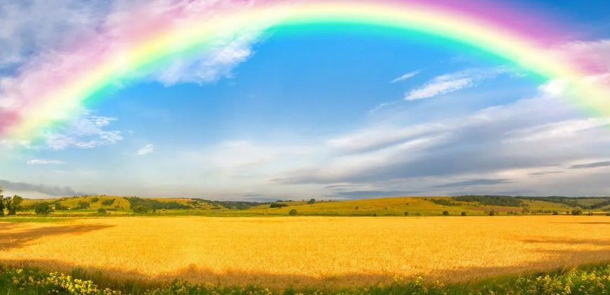 jolie是什么意思