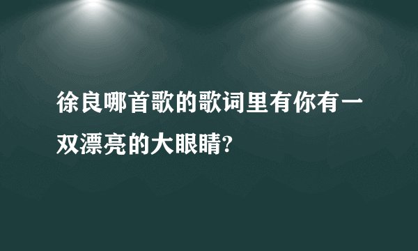 徐良哪首歌的歌词里有你有一双漂亮的大眼睛?