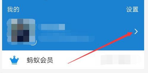 支付宝账号是什么？