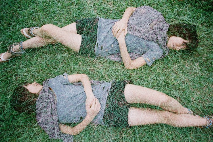 双生水莽的简介