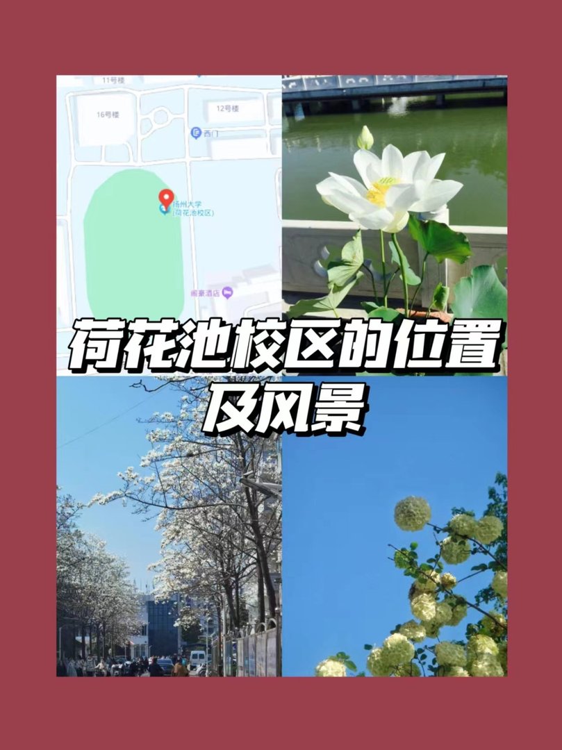 请问扬州大学的学院和专业如何划分的？
