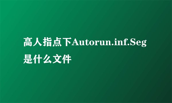 高人指点下Autorun.inf.Seg是什么文件