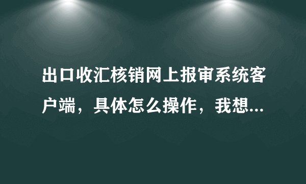 出口收汇核销网上报审系统客户端，具体怎么操作，我想要详细的操作流程,我是一新手，请各位老师指教！