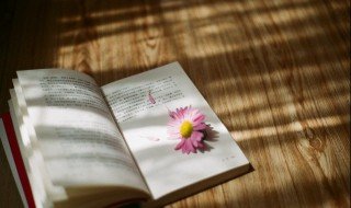 不什么其什么的成语 不什么其什么的成语精选