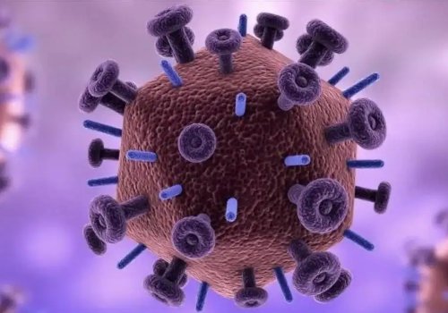 我国发现了多例新型尼帕病毒感染者，该病毒会对身体造成哪些危害？