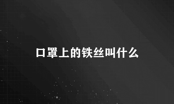 口罩上的铁丝叫什么