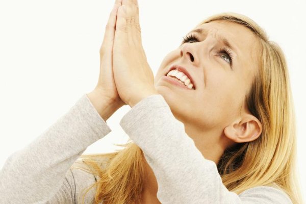 恳求的意思是什么