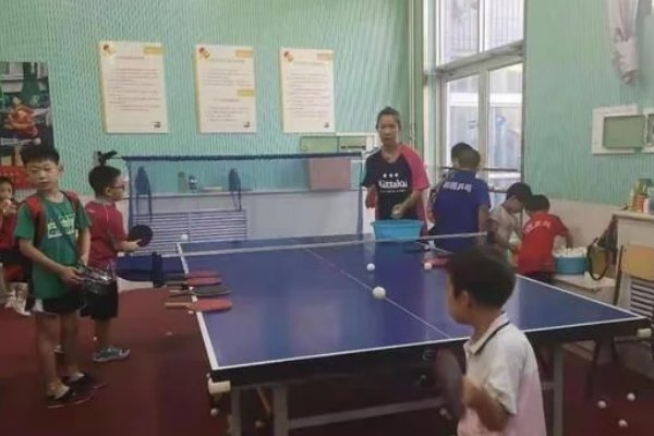 石家庄一小学培养4位世界冠军,这所学校是如何做到的?