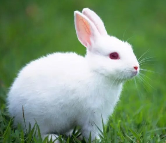 雪海冰山打一数字