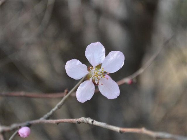 老人过生日说点什么祝福的话
