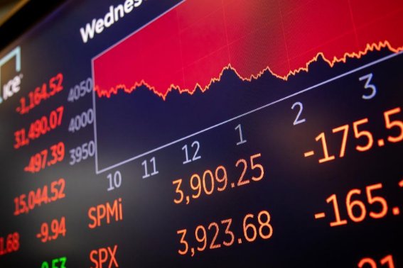 什么是指关于样本中某一变量的综合描述